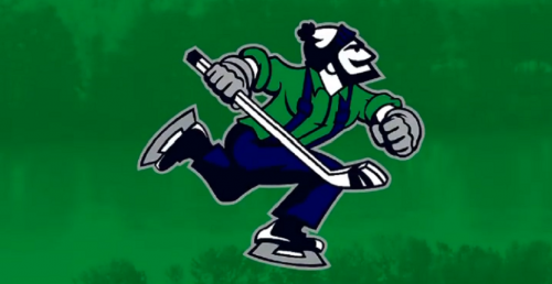 Hockey fans had LOTS to say about the Abbotsford Canucks' new look