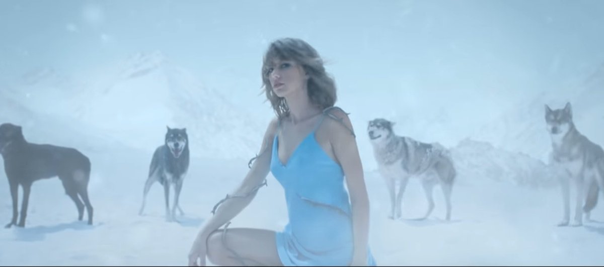 swiftespos's tweet photo. YOU live in a society, I live in taylor swift music videos https://t.co/03sL74rpAv