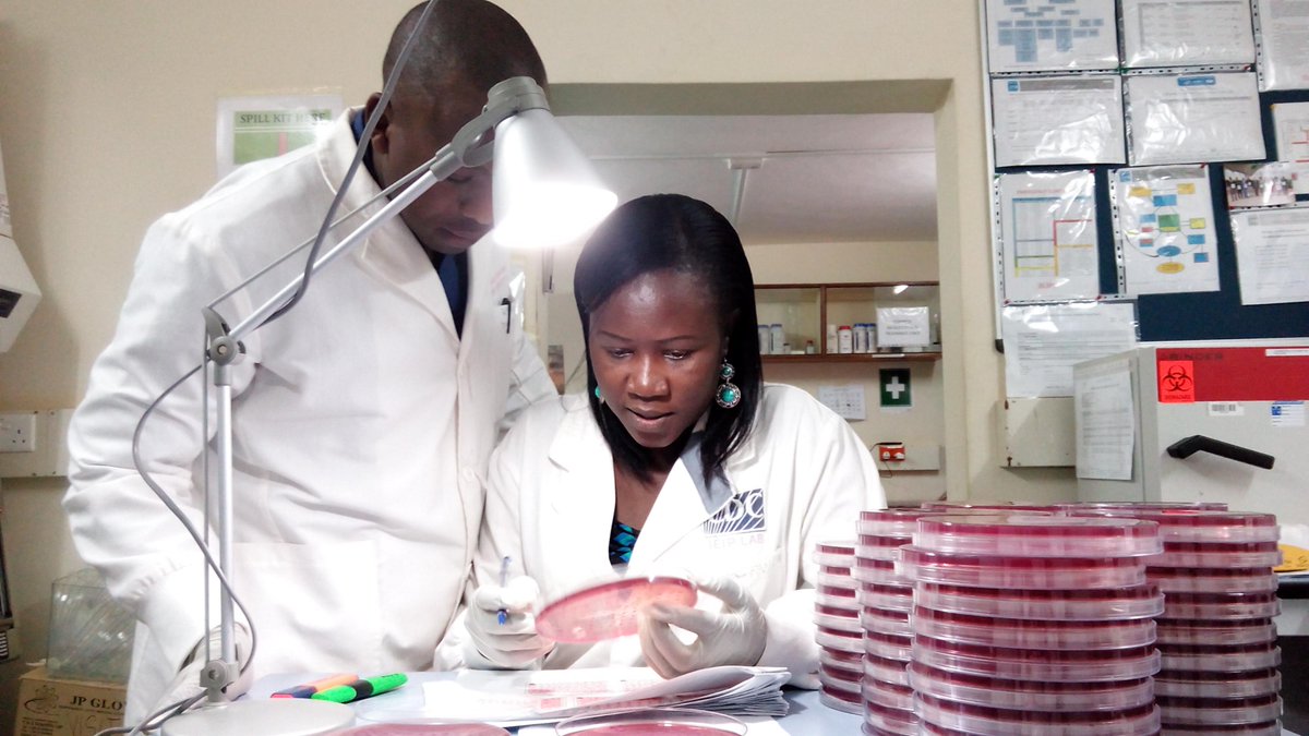 Check out @WSUGlobalHealth researchers Sylvia Omulo and Eric Device Ng'eno who are analyzing sewage in Nairobi providing answers for antibiotic resistance. #AMR #AntimicrobialResistance  #diseasesurveillance #GlobalHealthKenya #publichealth @qzafrica @WSUvetmed