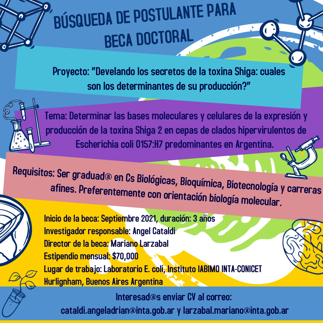 Búsqueda de becarix doctoral para beca AGENCIA de 3 años dentro de un proyecto PICT 2019. Laboratorio y director super recomendables! <a href="/intaargentina/">INTA</a> @CienciasInta