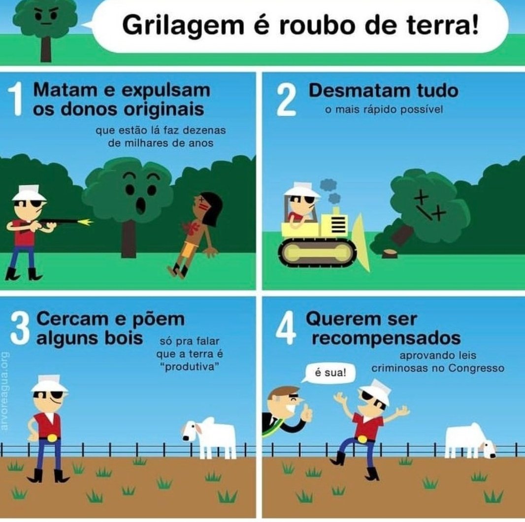 Oq Lira e os 300 picaretas querem fazer hj:
Bandidos INVADIRAM terras PÚBLICAS, do povo brasileiro, DESTRUIRAM a floresta e colocaram BOIS e SOJA no lugar. Estão LUCRANDO MILHÕES nas terras INVADIDAS.

Agora o governo miliciano quer dar a POSSE da terra aos bandidos.

#PL2633Nao