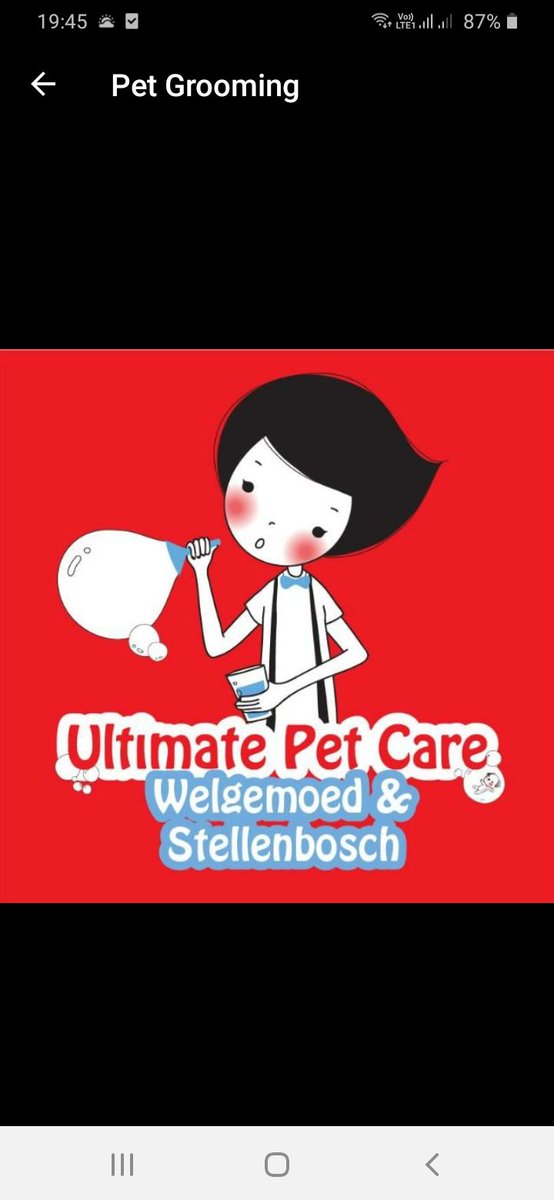 EbrahimFatima's tweet photo. #UPC #UltimatePetCare #Welgedacht our 9year old female #GermanShepherd got the full #grooming package  #pets #animals #dogs. Thanks 4 great service great treatment and special care. #CapeTown #July2021 https://t.co/sVzsQ4Sb7e