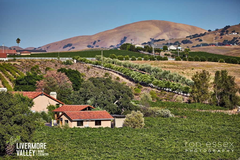 It's #WineWednesday and it's time to relax with wine and music in a vineyard setting at <a href="/bentcreekwinery/">Bent Creek Winery</a>