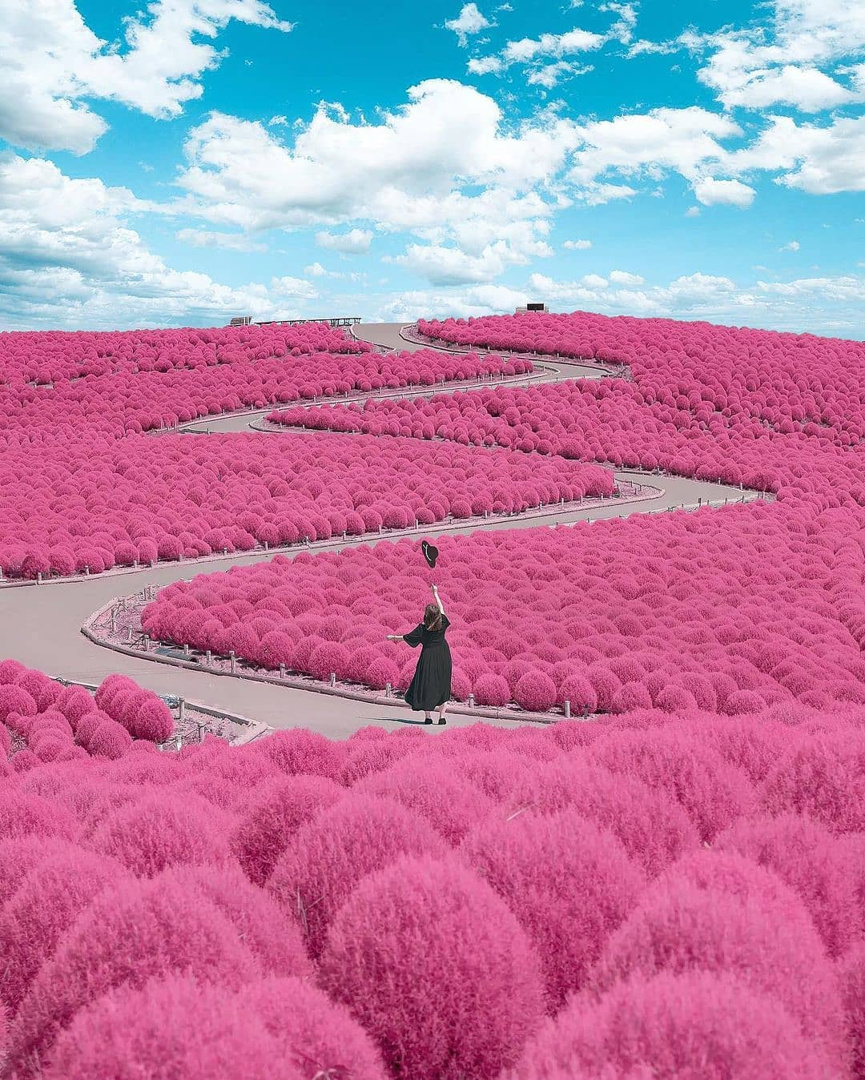 La vida no es un camino de rosas, o sí? por @number_shiiix via @beautifuldestinations #UniversoPG ⬜  Life is not a bed of roses, is it? by number_shiiix via @beautifuldestinations #UniversePG