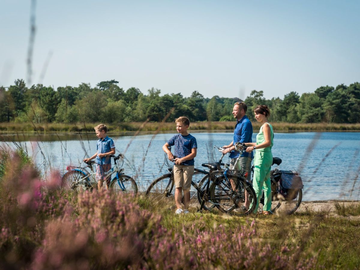 50 mooie fietstochten in Vlaanderen, 10x wonderlijk wandelen in eigen land, Download gratis 69 kant-en-klare wandelroutes van Pasar - mailchi.mp/pasar/nieuwsbr…