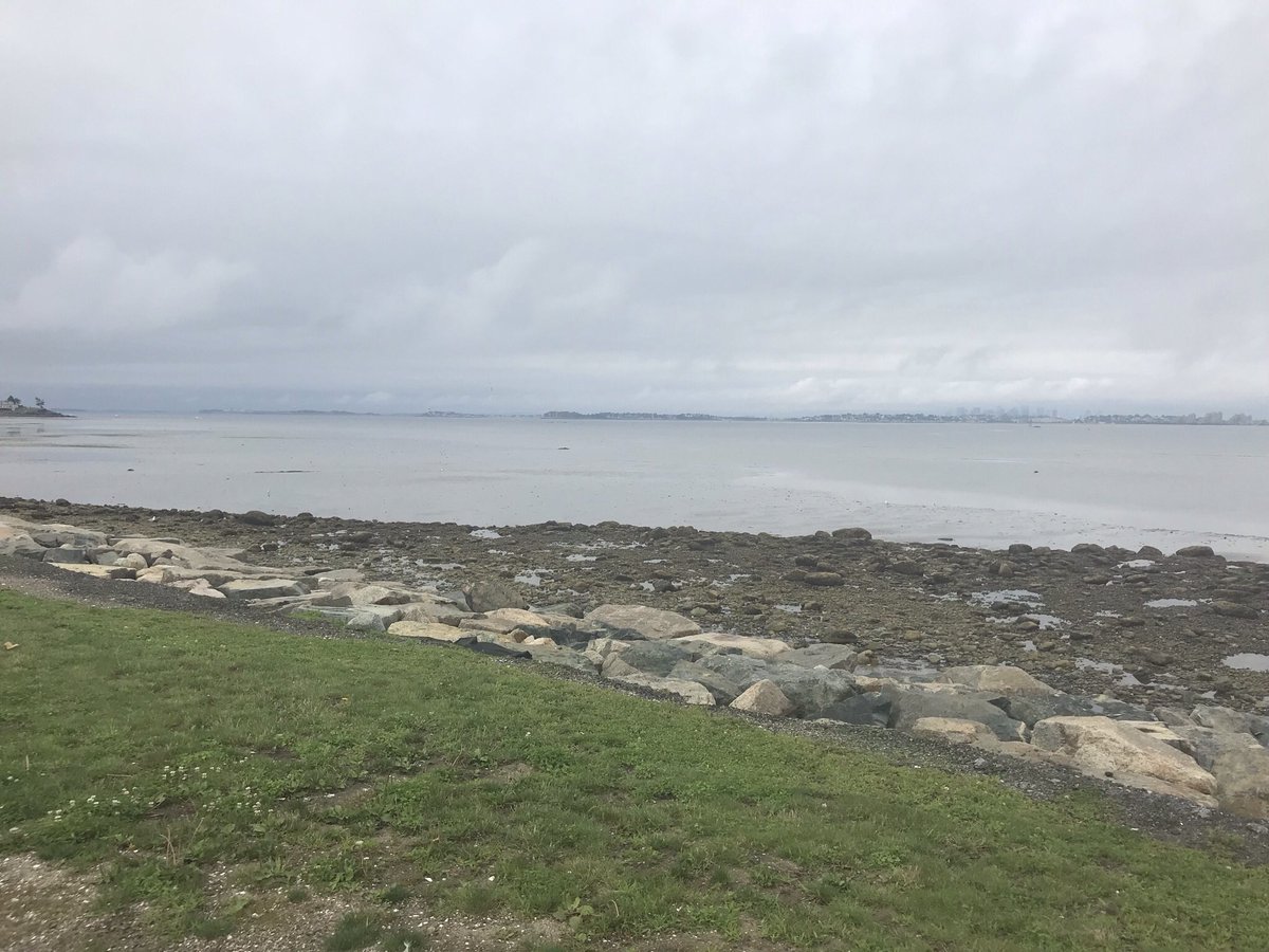 aalhaj_CNP's tweet photo. I had a great day out in the field with Tyler Chidsey measuring greenhouse gas fluxes on the beach for his senior thesis! Thanks Vincent family and @BUMPatBU for Tyler’s funding! @FulweilerLab https://t.co/ZcPDpZGKCz