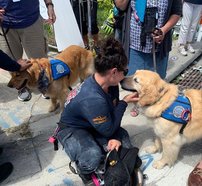 dog_rates's tweet image. This is Tobias. He and his comfort dog friends visited Surfside, FL this week. They brought their “please pet me” vests and handed out mini stuffed comfort dogs, so first responders and families who lost loved ones can continue to receive hugs whenever they need. 15/10 for all