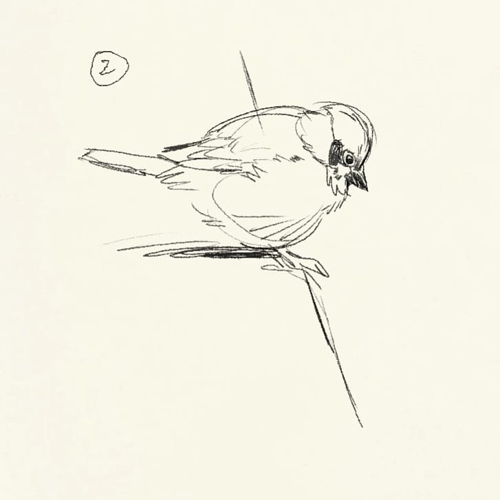 Process, draw gesture, redraw gesture, make finished lineart on new layer, add some value and done!