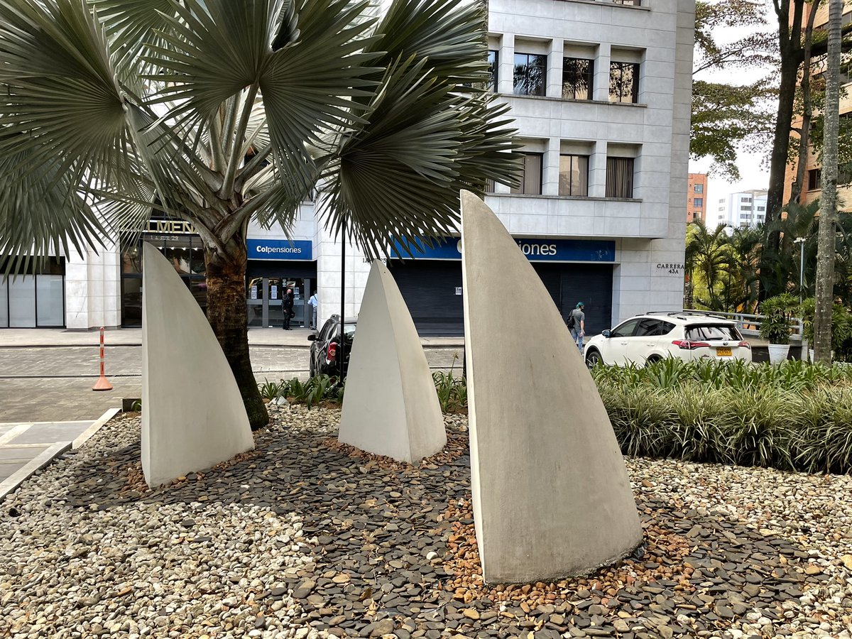 Taymımın zeki ve güzel hanımları için çiçek fotosu çektim. Erkekleri de unutmadım ❤️🌻 Medellin heykel sanatının nadide parçalarını da onlar için çektim 😇✅🚬