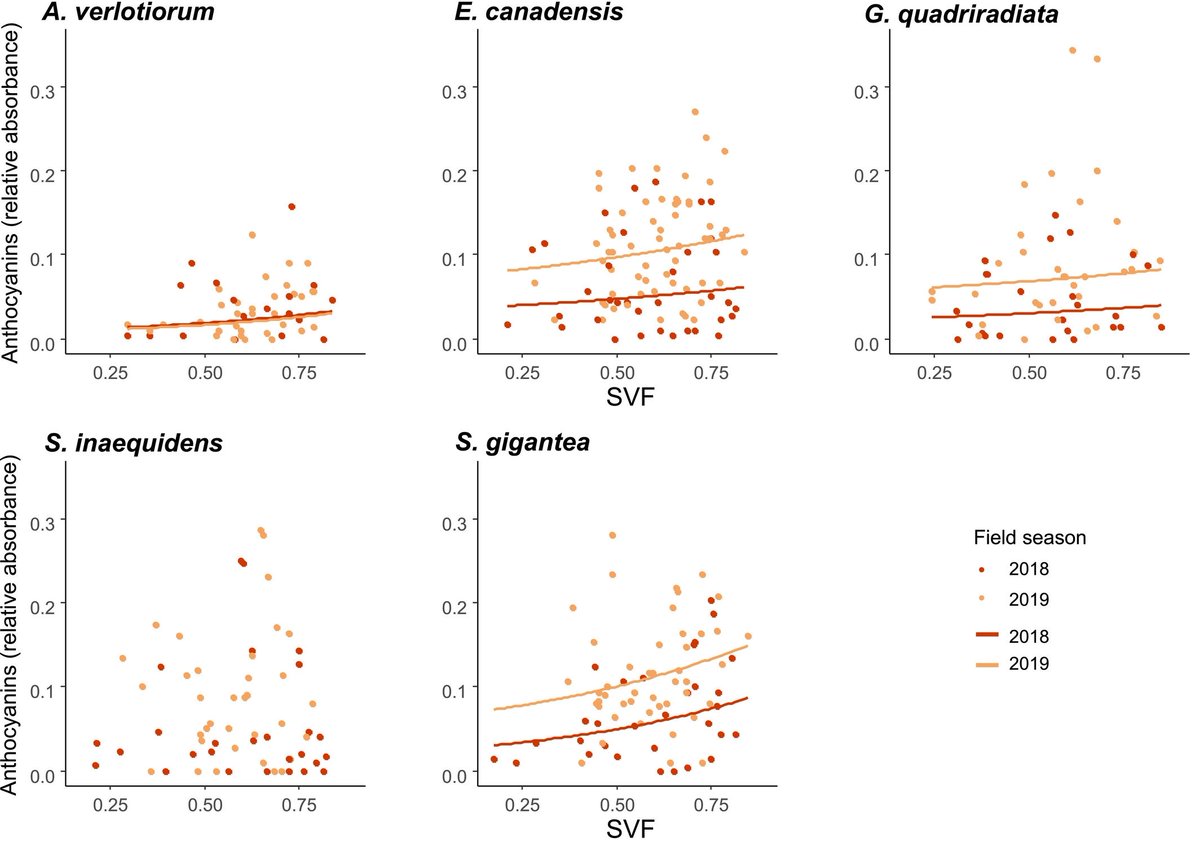 JLembrechts's tweet photo. A warmer climate of origin does not necessarily protect exotic plants from heatwaves such as our country has experienced in recent summers. What does? Local #microclimates

NEW PAPER lead by #The3DLab PhD candidate Charly Géron!

https://t.co/RTMAaRxssy https://t.co/asUUpNSCfr