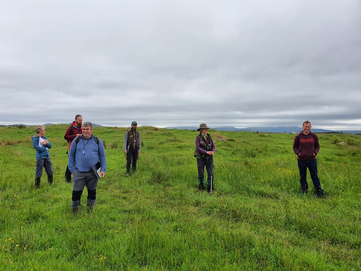 Irish Semi-natural Grasslands tweet media