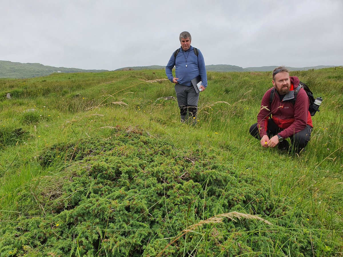 Irish Semi-natural Grasslands tweet media