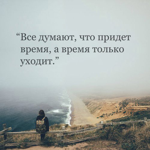 Тишина tweet media