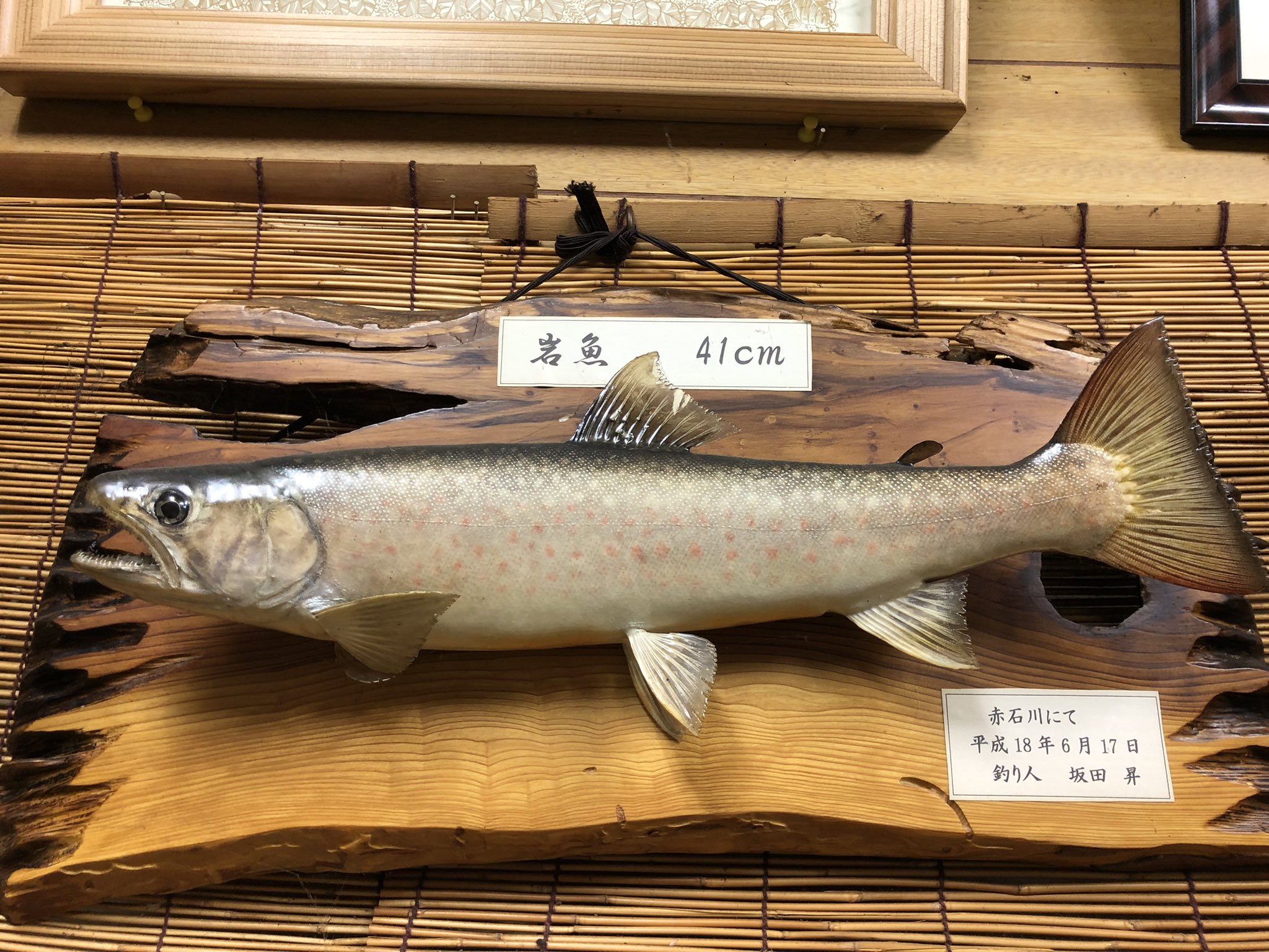 岩魚の刺身 Twitter Search Twitter