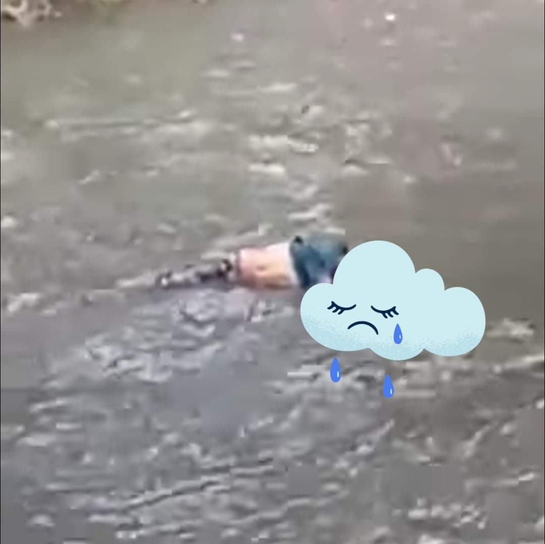 periodicoellide's tweet photo. 💥💥🚔Localizan cadáver en el río Atoyac a la altura de planta de tratamiento de aguas residuales en San Lucas Atoyatenco junta auxiliar del municipio de San Martín #Texmelucan

Advertencia, imágenes sensibles. https://t.co/8NSZ7Aua4e