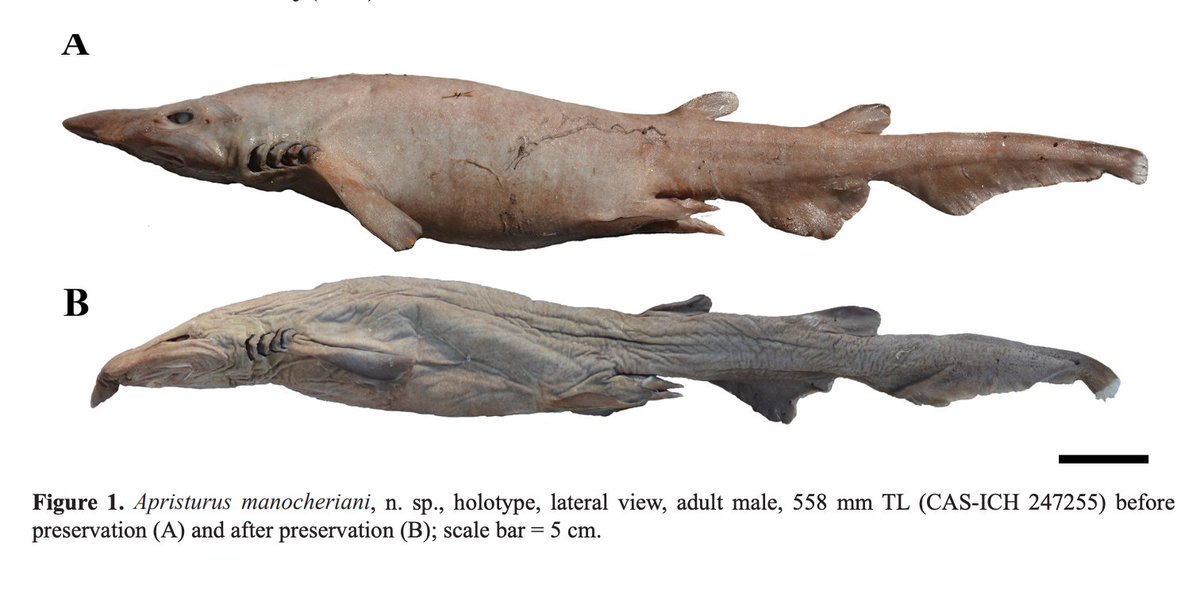 Moss Landing Marine Labs tweet media