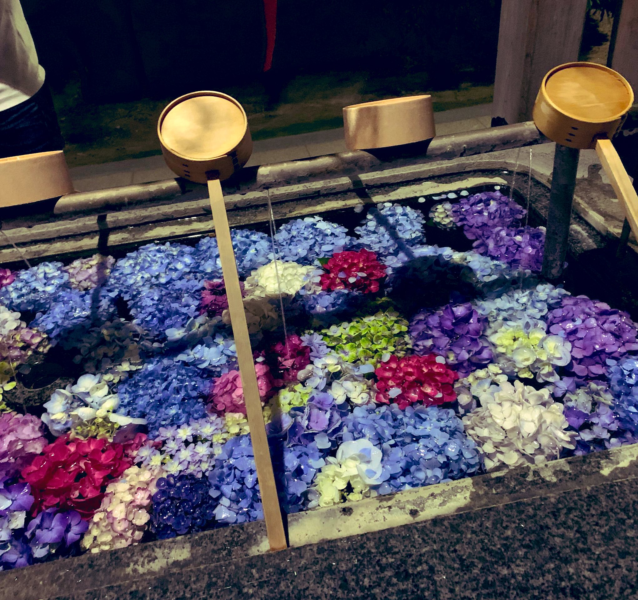 うっちゃんちゃん 今 あさイチで花手水 が話題ですが 福岡の妹の近くの神社 春日神社 コロナで行けないけれど紫陽花の 花手水忘れられないゎ あさイチ 花手水 T Co Xbsuqmsfmt Twitter