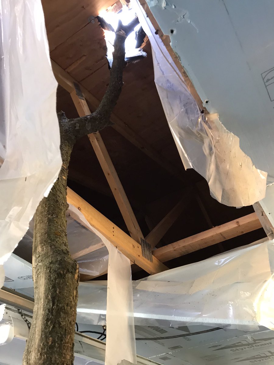 After going through a tornado in 2018 and the derecho last year, I find myself getting more and more anxious during storms. Pictured is a limb that went through my garage roof in the tornado and power lines a block from my house after the derecho. https://t.co/99gdJt0igg