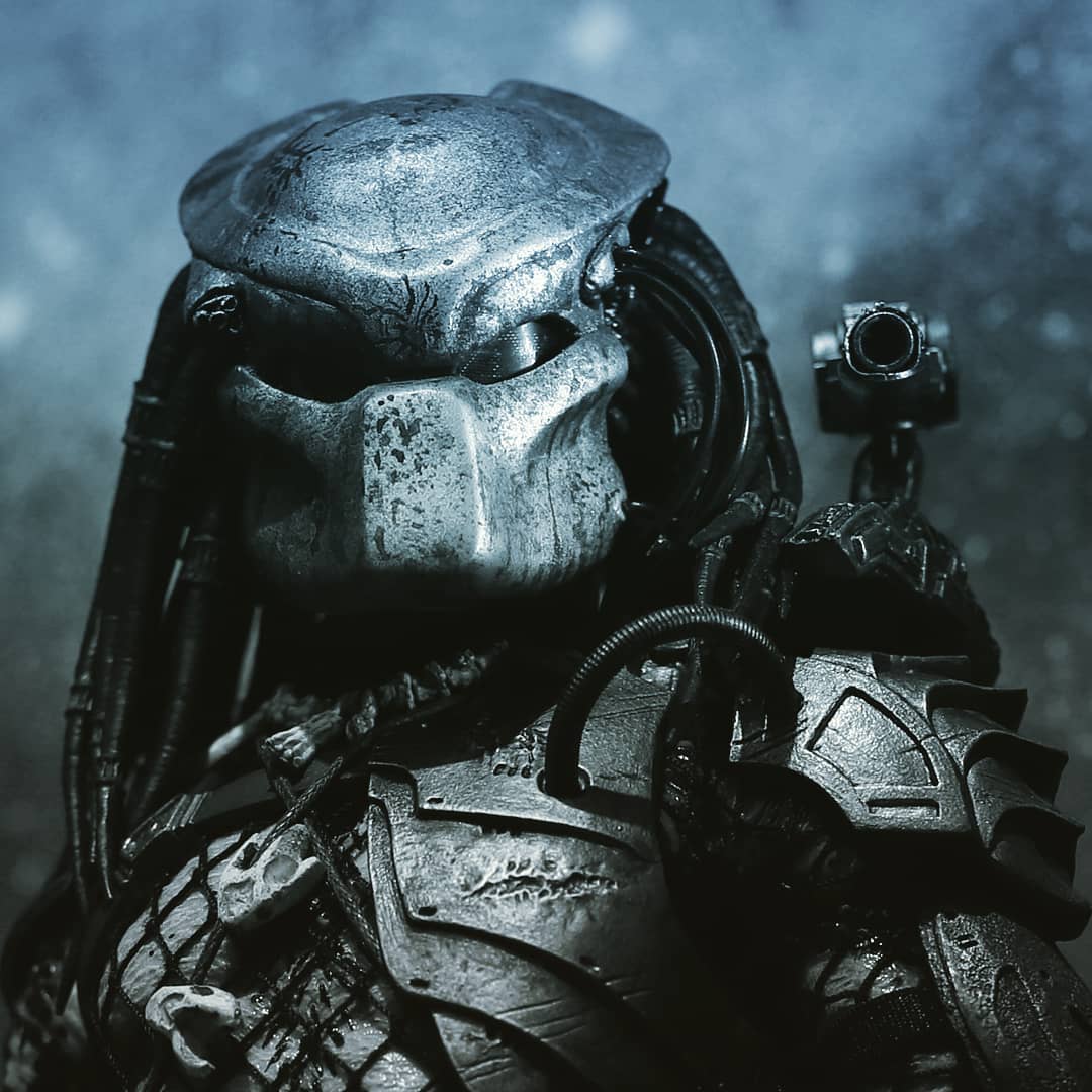 TRIPLEDARK tweet media