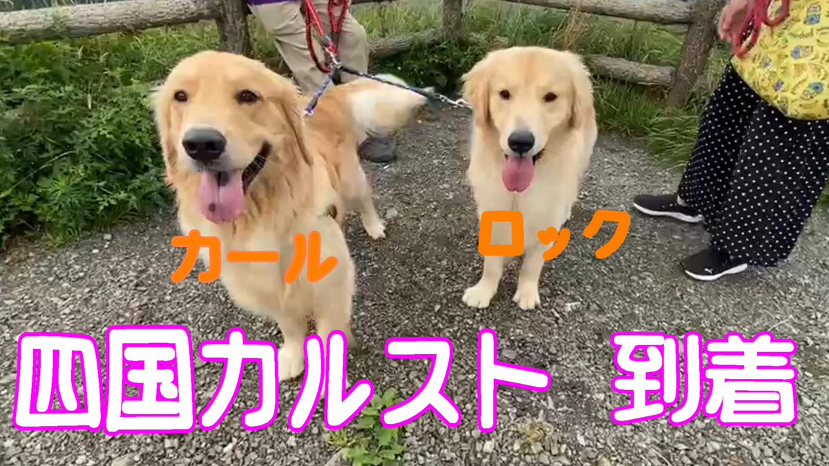 はるママ Harukoyomi3pou Twitter はるママ Harukoyomi3pou Twitter