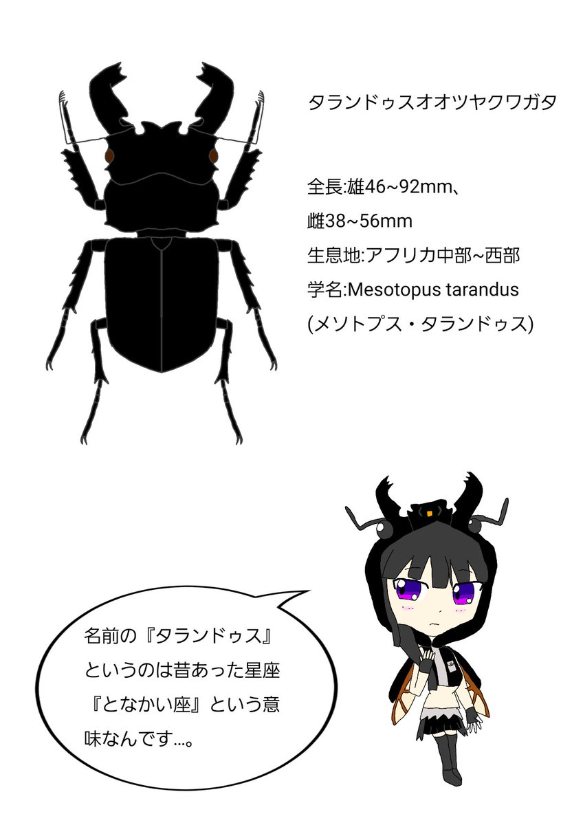 人外とバンドリとカブトムシが好きなlittle A V Twitter 昆虫図鑑風イラストを描きました 今回はタランドゥスオオツヤクワガタfeat 白金燐子 怒るとバイブレージョンのように振動します イラスト イラスト好きな人と繋がりたい イラスト好きさんと繋がりたい 人外とバンドリとカブトムシが好きなlittle A V Twitter 昆虫図鑑風イラストを描きました 今回はタランドゥスオオツヤクワガタfeat 白金燐子 怒るとバイブレージョンのように振動します イラスト イラスト好きな人と繋がりたい イラスト好きさんと繋がりたい