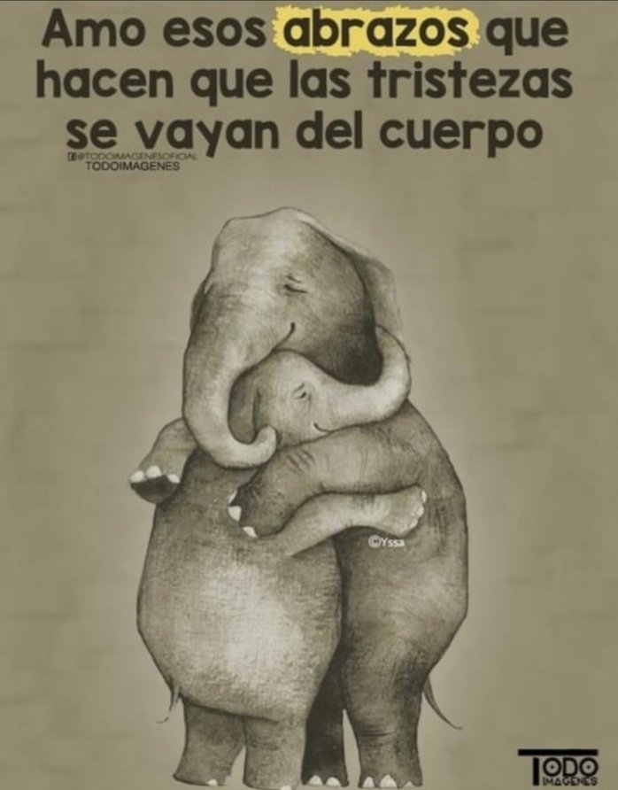 Mine Perales tweet media