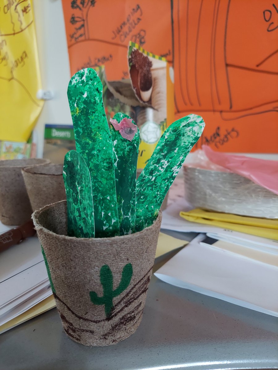 Camp Cajon goes to the desert. We planted our own succulents, too! <a href="/BHandley4/">Brian Handley</a> <a href="/CajonValleyUSD/">CajonValleyUSD</a> @ChaseTigers