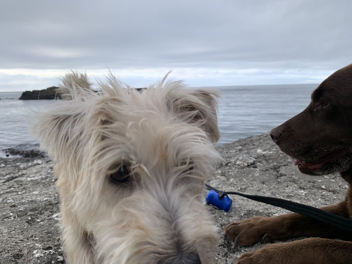 SarahCorr131's tweet photo. Boys in #Ballintoy https://t.co/spYM5b2DGD
