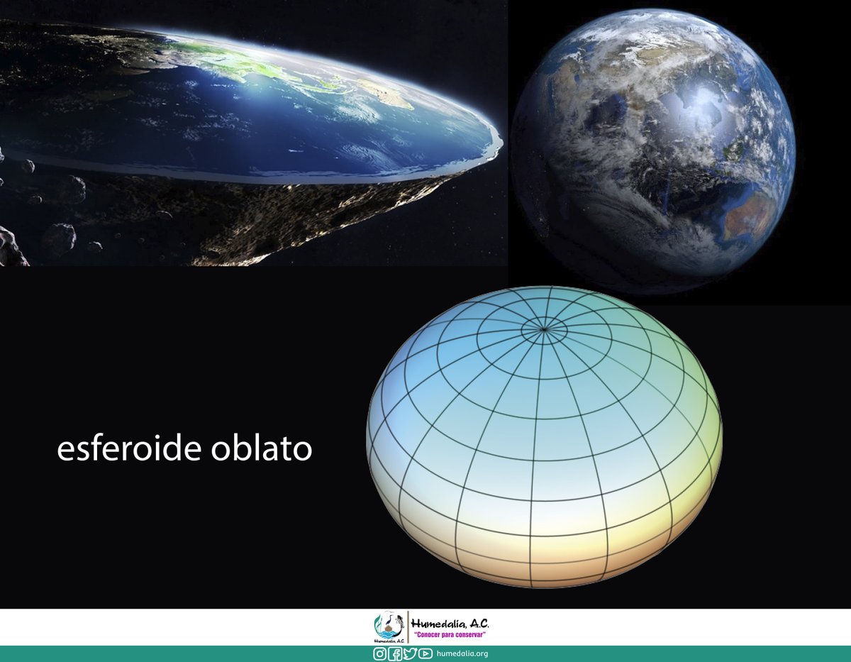 HumedaliaAC's tweet photo. La forma de la Tierra determina cómo se distribuye la energía solar y por consiguiente, la gran diversidad de escenarios climáticos y ecosistemas de nuestro planeta. A pesar de lo que digan algunos loquillos contemporáneos, la Tierra no es plana. Es un esferoide oblato https://t.co/O897qGtRKF