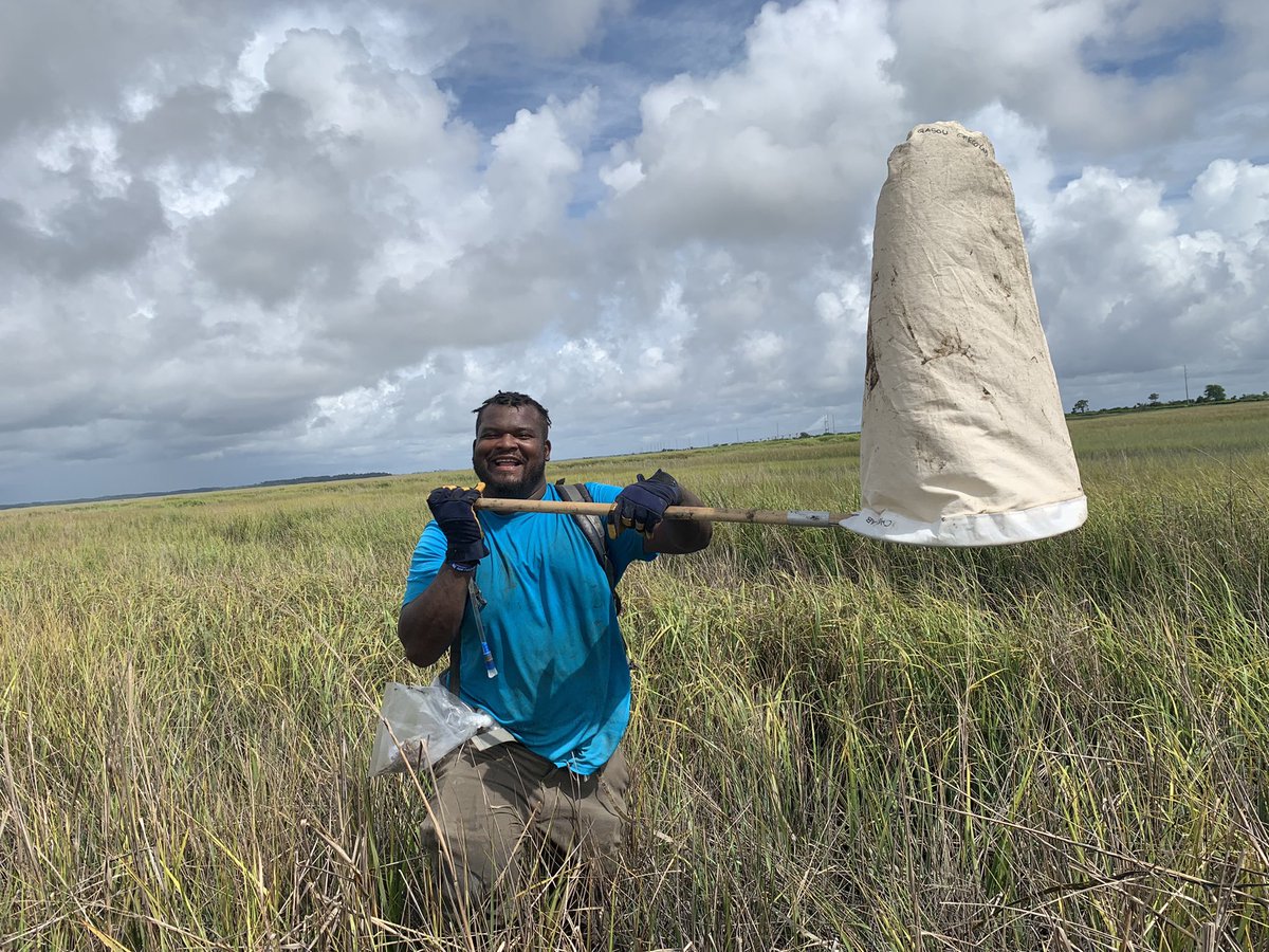 n8ture_al's tweet photo. Researcher or Marsh Ninja #marshmadness #research #marshviews #saltmarsh #ikeepmyglovesdirty #blackscientist #blackscientistsmatter #wetlandscientist #blackinento #blackinwildlife #getitoutthemud #blackinnature #blueskies #research #MarshNinja https://t.co/WHv6Sph4iY