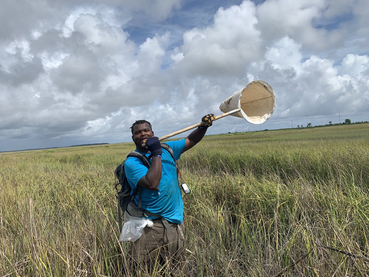 n8ture_al's tweet photo. Researcher or Marsh Ninja #marshmadness #research #marshviews #saltmarsh #ikeepmyglovesdirty #blackscientist #blackscientistsmatter #wetlandscientist #blackinento #blackinwildlife #getitoutthemud #blackinnature #blueskies #research #MarshNinja https://t.co/WHv6Sph4iY