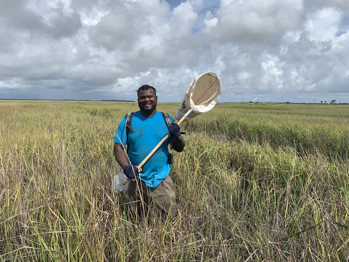 Researcher or Marsh Ninja  #marshmadness #research #marshviews  #saltmarsh #ikeepmyglovesdirty  #blackscientist #blackscientistsmatter #wetlandscientist #blackinento #blackinwildlife  #getitoutthemud #blackinnature  #blueskies #research #MarshNinja