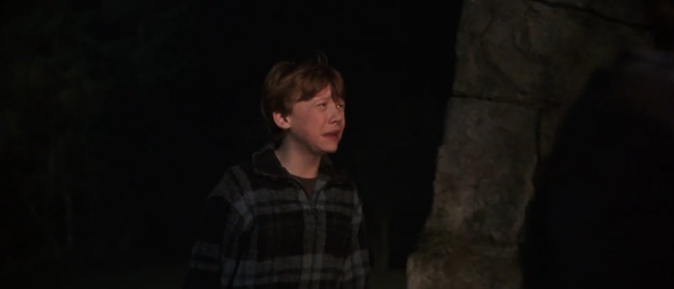 "Neden örümcekler? Neden kelebekleri izleyin demedi ki?"