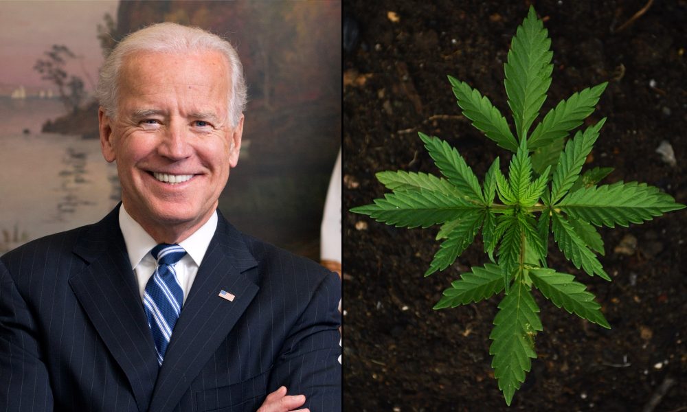 NewsBudz's tweet photo. Biden Remains Opposed To Marijuana Legalization, White House Says Minutes After Senators Unveil New Bill https://t.co/PZsgqd1KFh #cannabis https://t.co/ZpZc90zNog