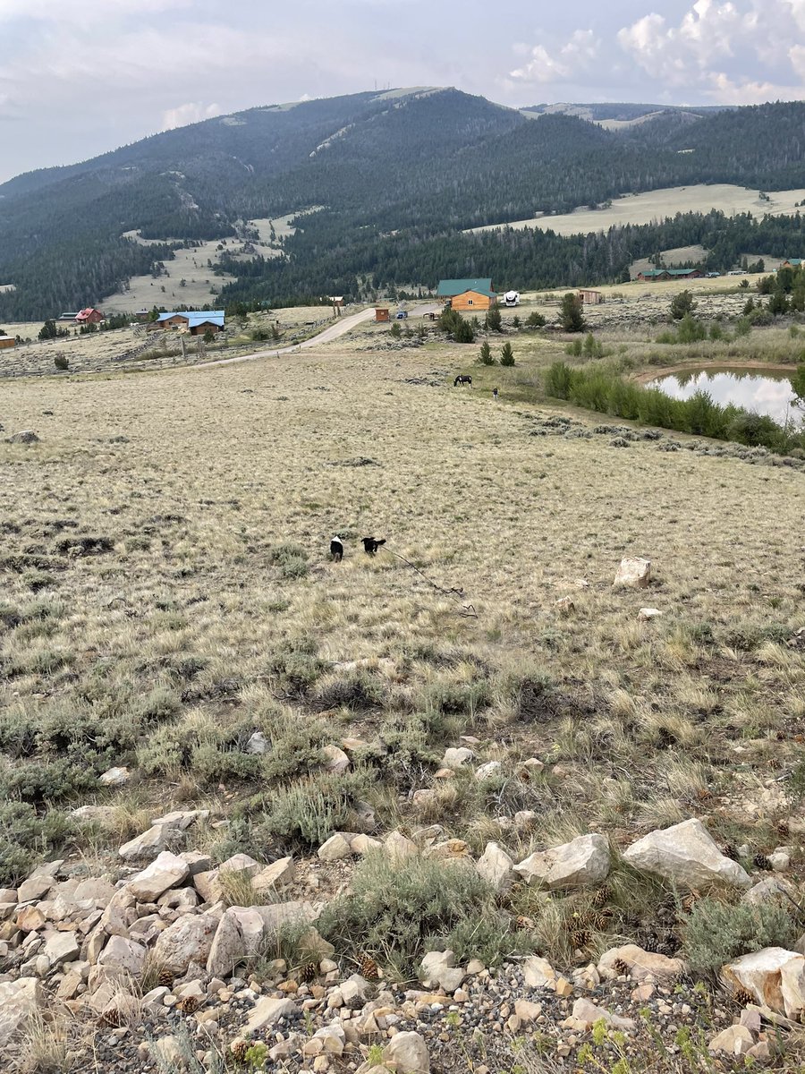 starbetter's tweet photo. Here to tell you to, definitely *dont* hit your butt on a rock sliding down a hill to follow your dog the day before you have to sit on two long flights. #mountainproblems #ow https://t.co/3vrkND41ZX
