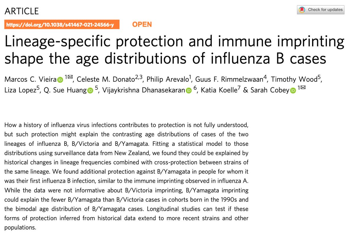 Marcos Vieira tweet media