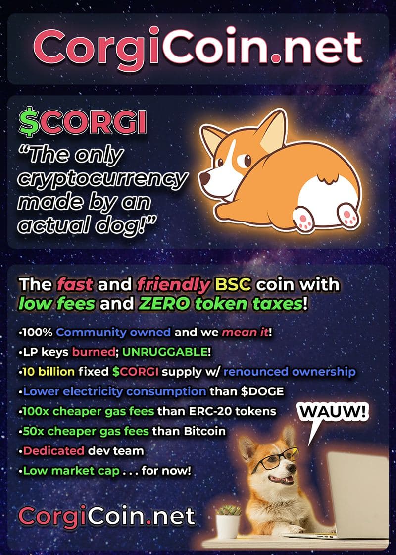 CorgLila's tweet photo. @DonCrypto_ https://t.co/GW9GAGfbCL is the place to be! $CORGI #corgiarmy @corgicoinbsc https://t.co/XjEjjNbwhJ