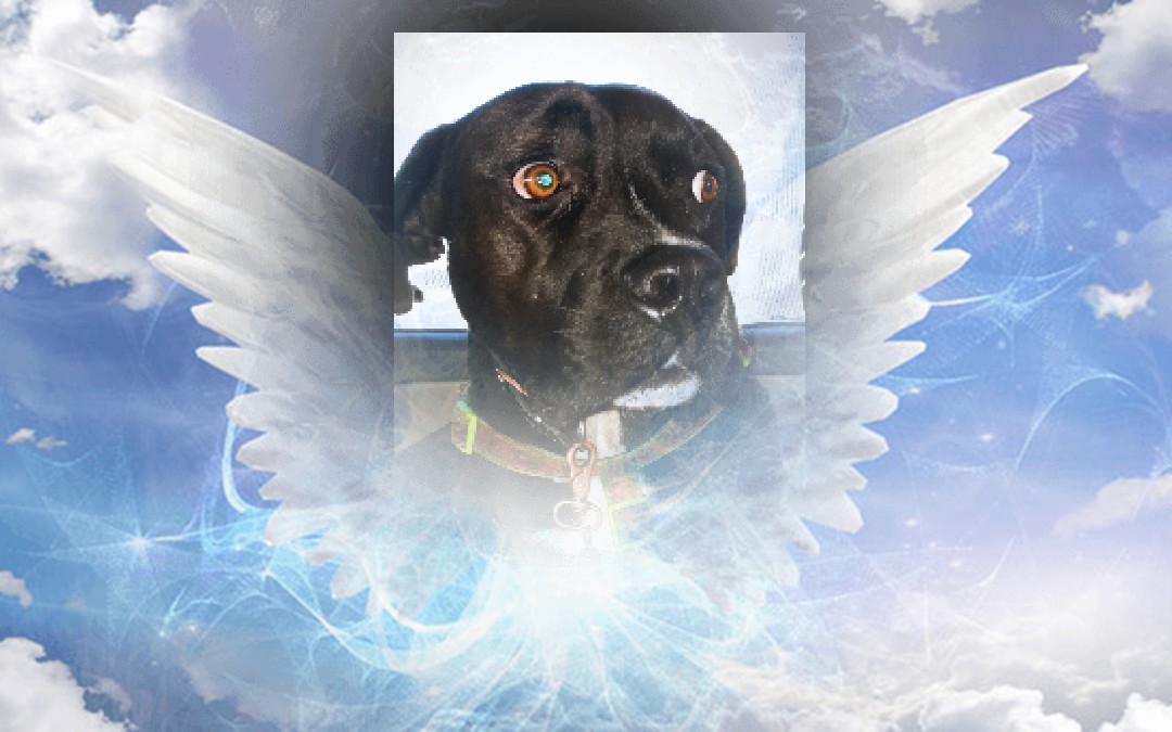 IamLizzie tweet media