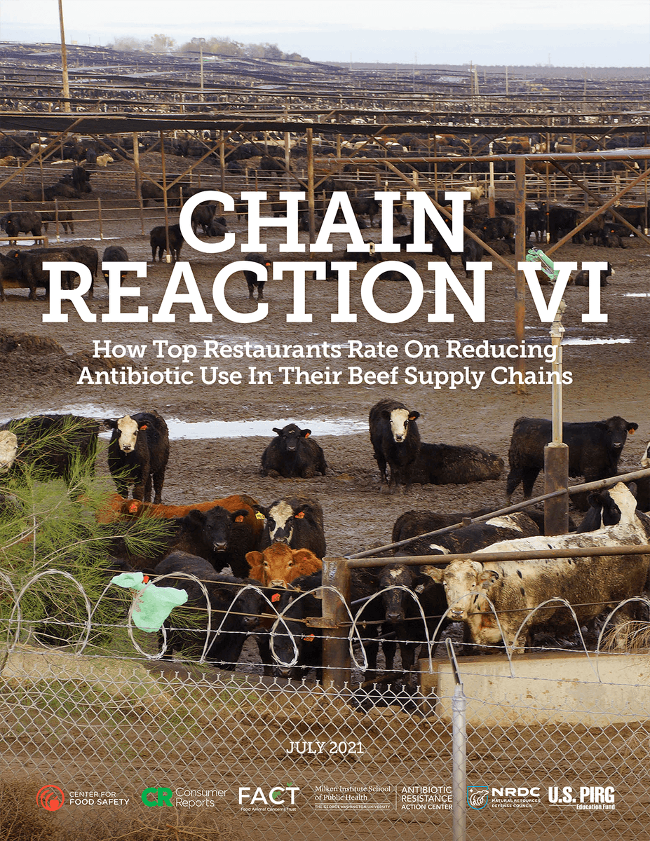 Talk_With_FACT's tweet photo. #ChainReactionVI reports on the policies of major restaurant chains on stopping antibiotic overuse in their beef supplies. Wendy’s was a bright spot moving up from a D+ to a C. McDonald’s failed to fulfill its commitment to set antibiotic reduction targets.https://t.co/lcbNyJfOFY https://t.co/CFAXl4n9UP