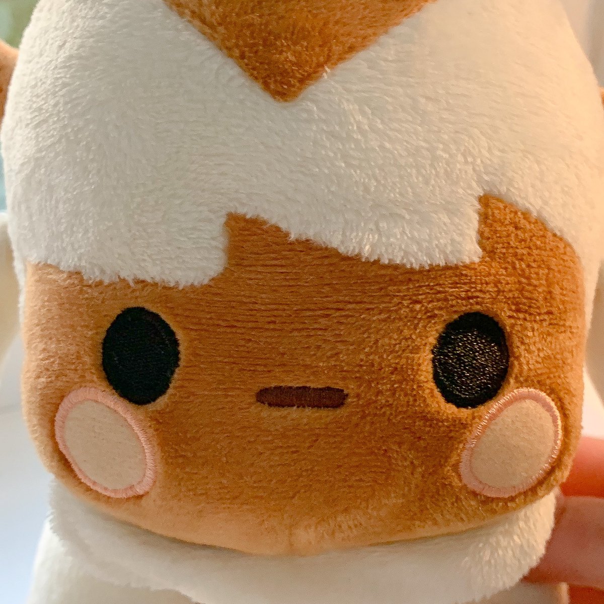 teasuiii's tweet photo. hihi!! im excited to announce that appa preorders will open this saturday 17/07 at 7PM BST!!
info:
♡ 30cm in length
♡ embroidery details
preorder price : £28
#atla #appa #atlaplush #appaplush https://t.co/NJhG4Z0Cb1