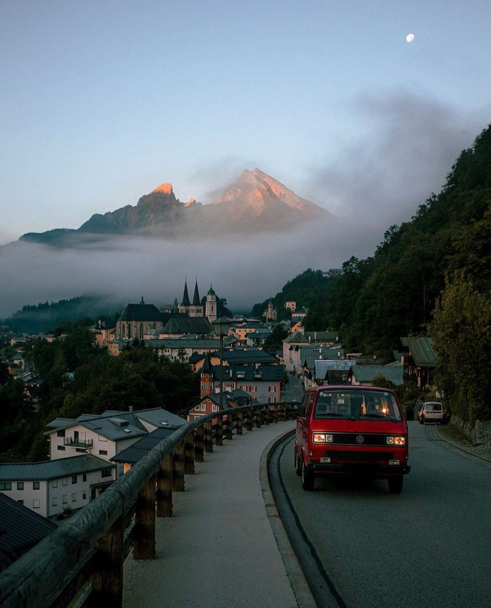 nature art tweet media