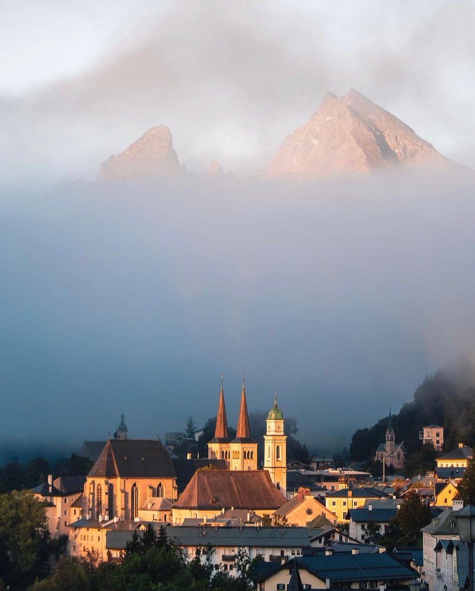 nature art tweet media