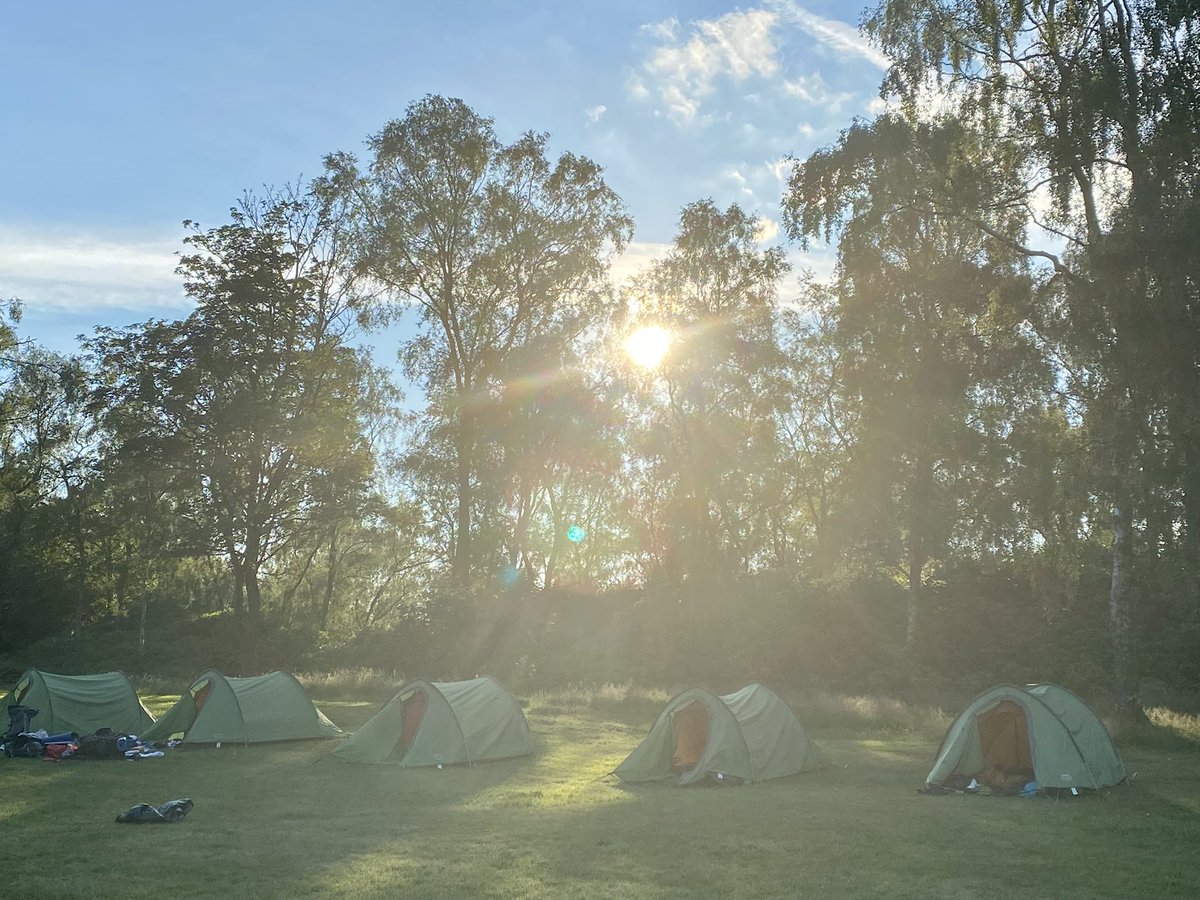 RHewlitt31 tweet media