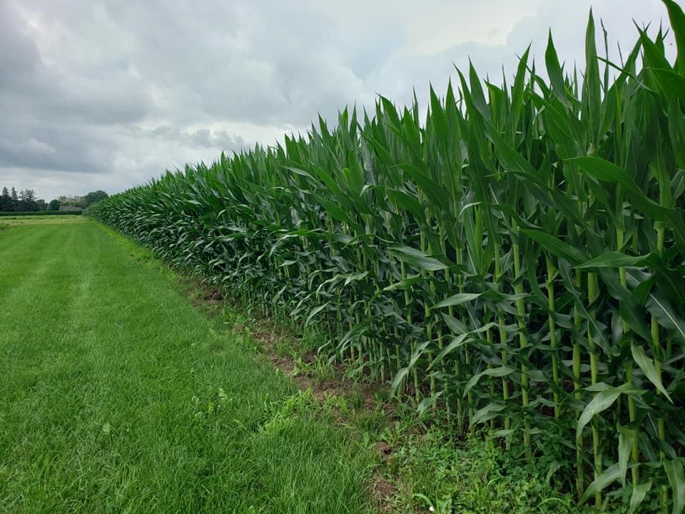 county_oxford's tweet photo. The City of Woodstock is working on the annexation of agricultural land from the Township of East Zorra Tavistock to be developed into residential land...approximately 2,300 acres of agricultural land that could be lost. Contact your municipal council!
https://t.co/w365IZUBSq https://t.co/XALwxcfyU0