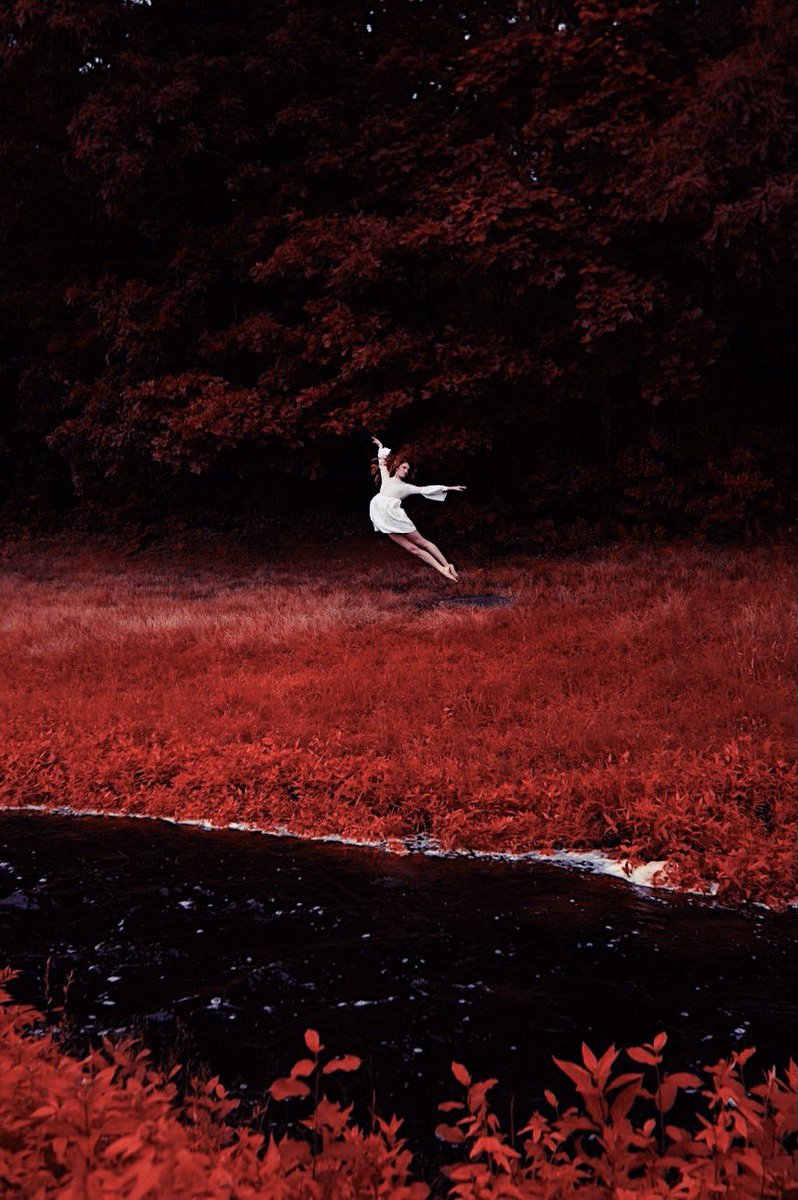 sarahdavs1's tweet image. Fleeting