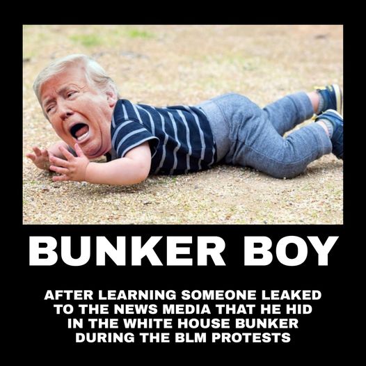 #BunkerBoyTrump #BunkerBoy