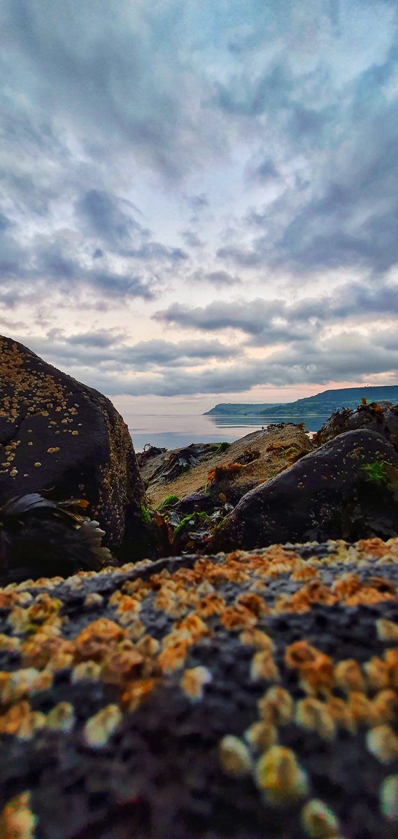 gerdcurley's tweet photo. Came to the coast to meditate and work at the low tide in #Carnlough - how lovely is Ireland? 
@barrabest @sastawear @GerdAnthony https://t.co/1pQGBydWzL