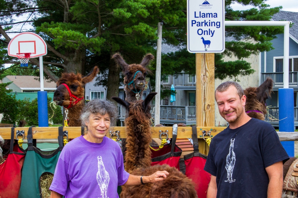 Smugglers_Notch's tweet photo. Llama Parking Only 🦙

Sign up for a Llama Trek TODAY by clicking the 🔗 below and selecting Llama Trek. Available Wednesday, Thursday &amp; Saturday 10:00 am - 1:00 pm.

🔗 https://t.co/8AbH8YzLYn 🔗 https://t.co/eeYv3Xuagl