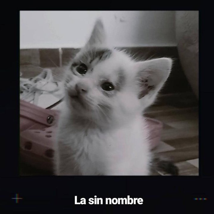 𝙰𝚗𝚍𝚛𝚎𝚜 💫 tweet media