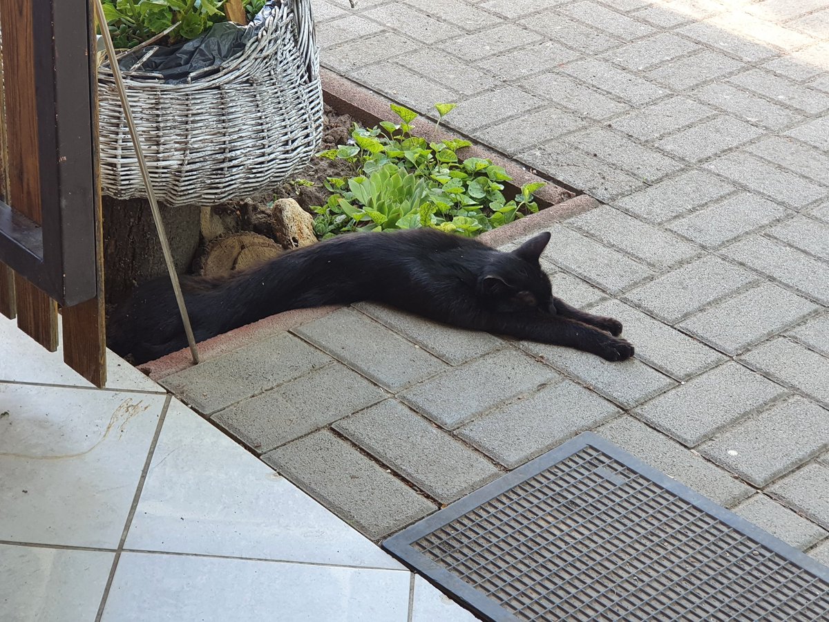 Forrosagban a Balaton partjan